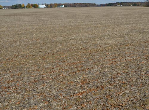 Property photo 14 - 75.3 Acres Offered in 2 Tracts